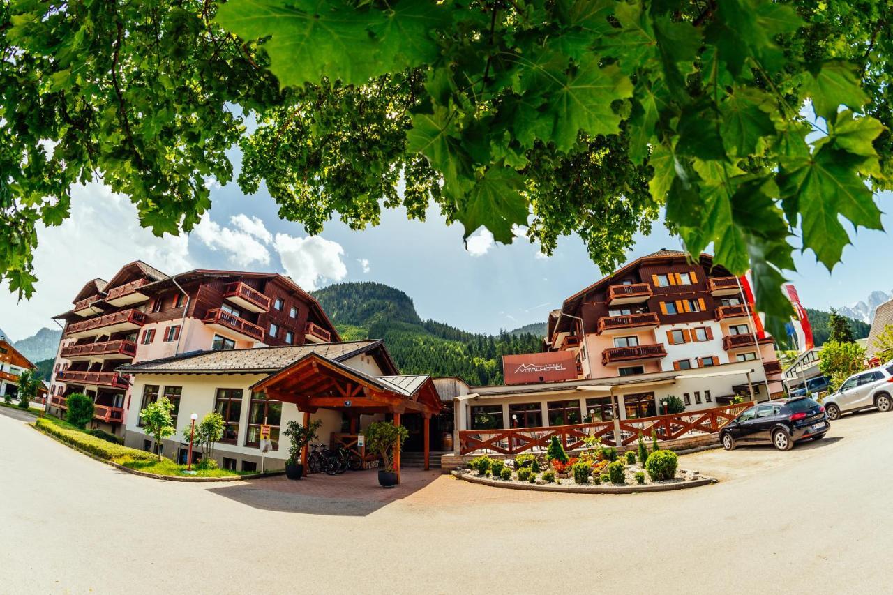 Modern Studio-Apartment In Gosau Near Hallstatt Dış mekan fotoğraf